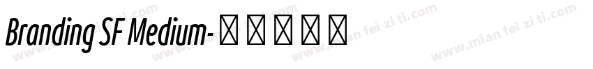 Branding SF Medium字体转换